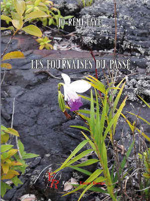 cover image of Les fournaises du passé